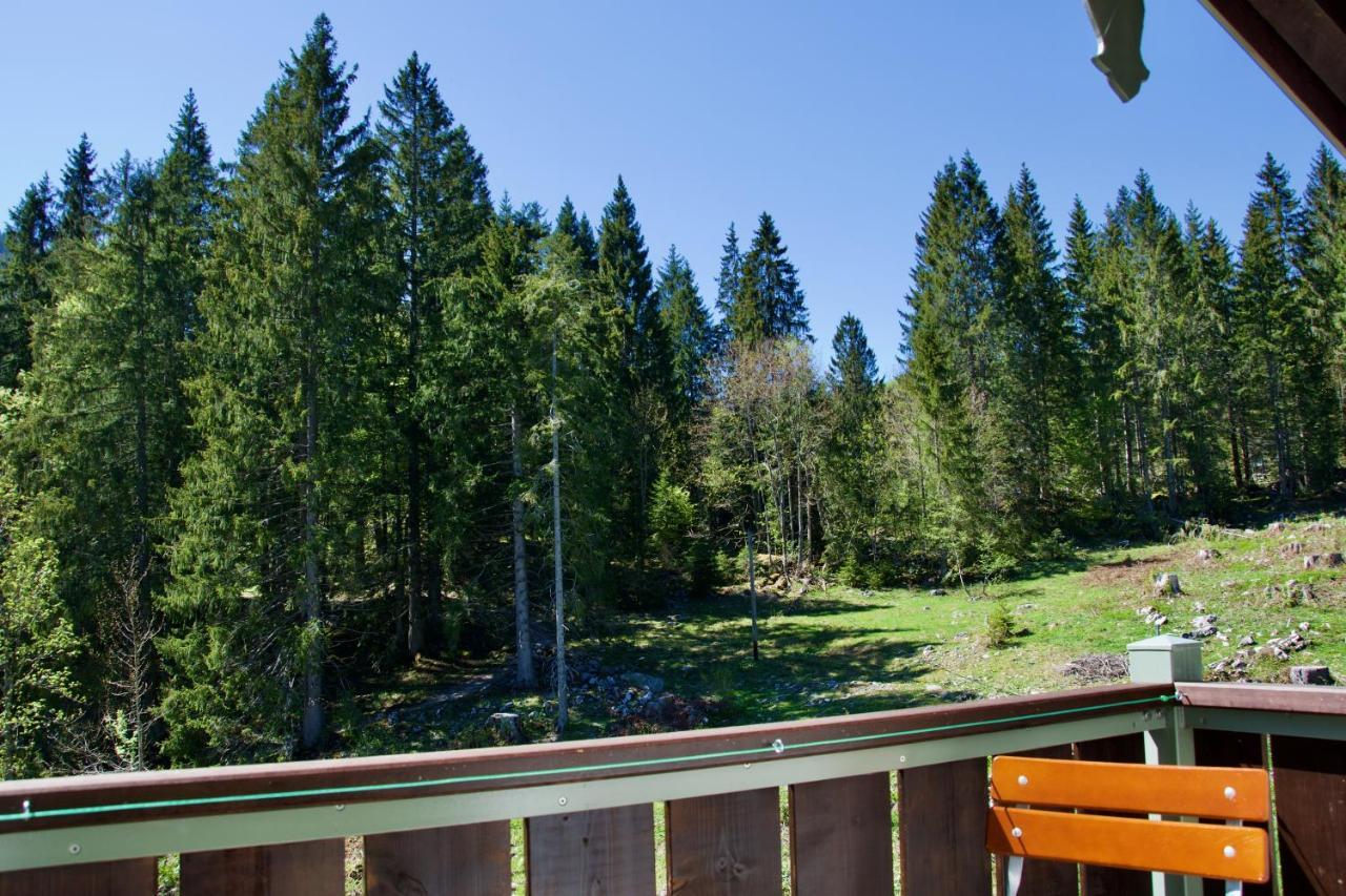 Spitzing Lodge Ferienwohnungen - Wanderparadies In Den Bergen Шпитцингзе Экстерьер фото